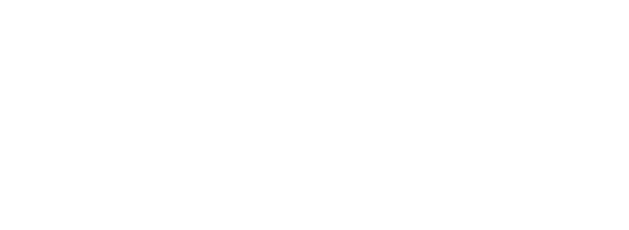 logo oficial element cargo